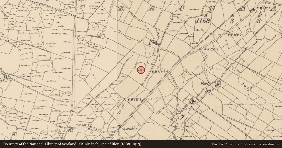 Ordnance Survey six-inch map, 2nd edition (1888–1915) covering the location of Ringfort - rath, Faughary, County Leitrim, with a pin at the register's coordinates