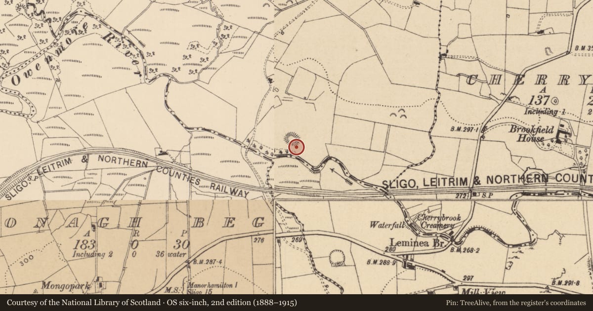 Ordnance Survey six-inch map, 2nd edition (1888–1915) covering the location of Ringfort - rath, Tawnyfeacle, County Leitrim, with a pin at the register's coordinates