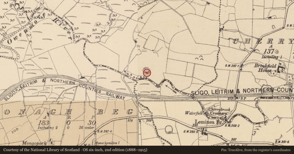 Ordnance Survey six-inch map, 2nd edition (1888–1915) covering the location of House - indeterminate date, Tawnyfeacle, County Leitrim, with a pin at the register's coordinates