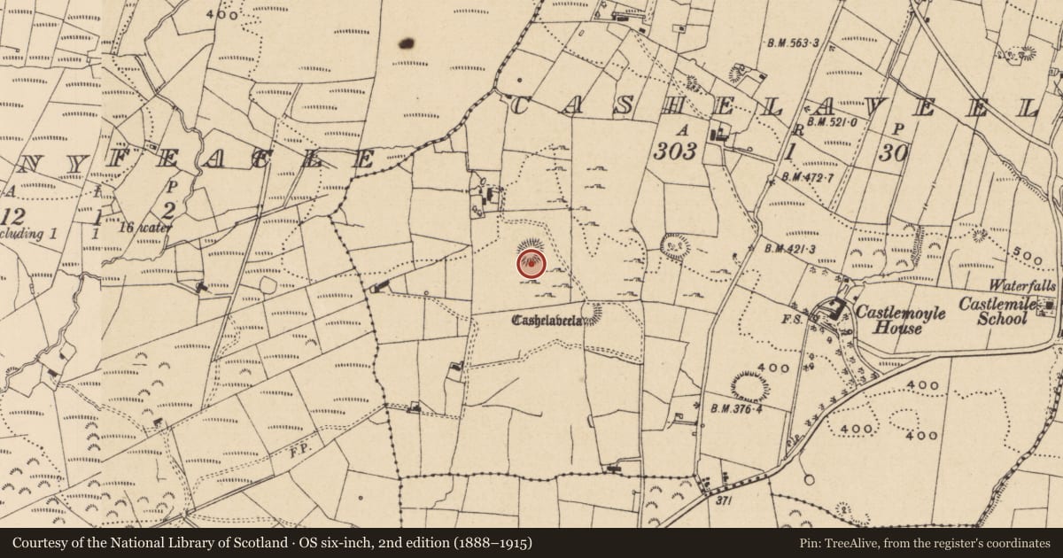 Ordnance Survey six-inch map, 2nd edition (1888–1915) covering the location of Ringfort - cashel, Cashelaveela, County Leitrim, with a pin at the register's coordinates