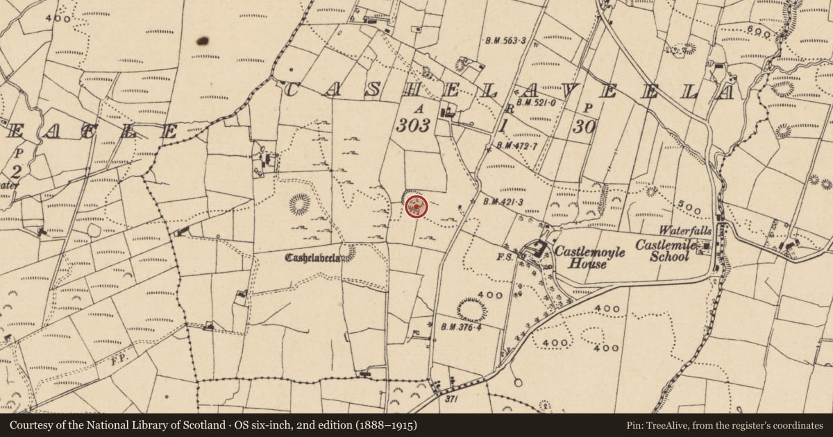 Ordnance Survey six-inch map, 2nd edition (1888–1915) covering the location of Ringfort - rath, Cashelaveela, County Leitrim, with a pin at the register's coordinates