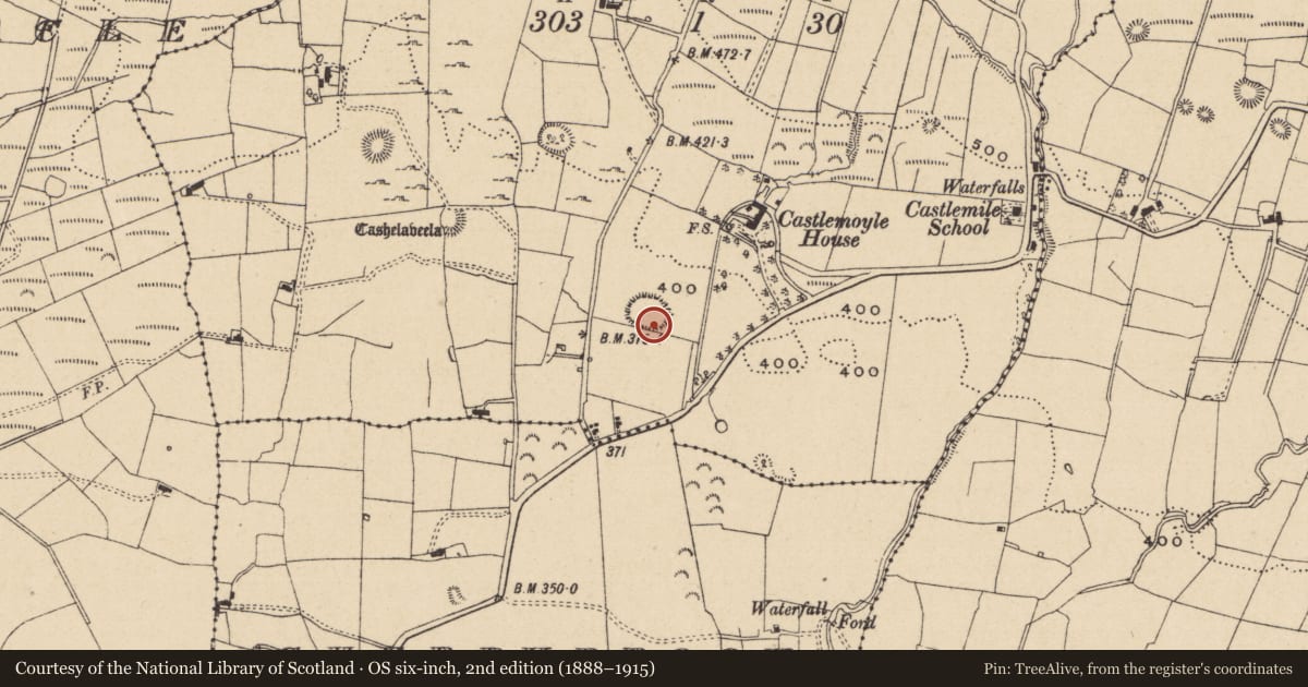 Ordnance Survey six-inch map, 2nd edition (1888–1915) covering the location of Ringfort - rath, Cashelaveela, County Leitrim, with a pin at the register's coordinates