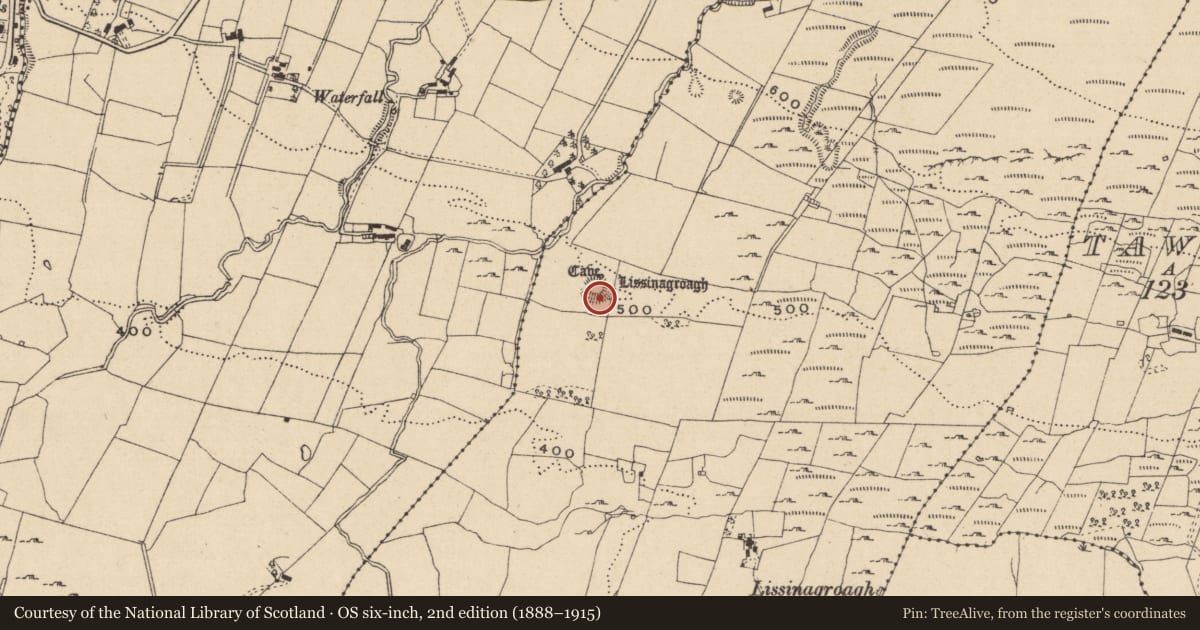 Ordnance Survey six-inch map, 2nd edition (1888–1915) covering the location of Ringfort - rath, Lissinagroagh, County Leitrim, with a pin at the register's coordinates