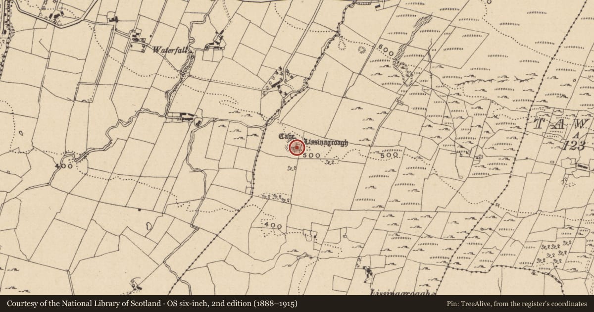 Ordnance Survey six-inch map, 2nd edition (1888–1915) covering the location of Souterrain, Lissinagroagh, County Leitrim, with a pin at the register's coordinates