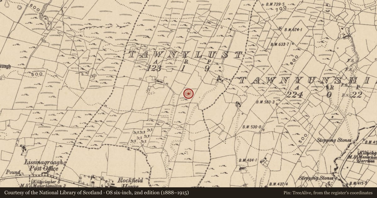 Ordnance Survey six-inch map, 2nd edition (1888–1915) covering the location of Ringfort - cashel, Tawnylust, County Leitrim, with a pin at the register's coordinates