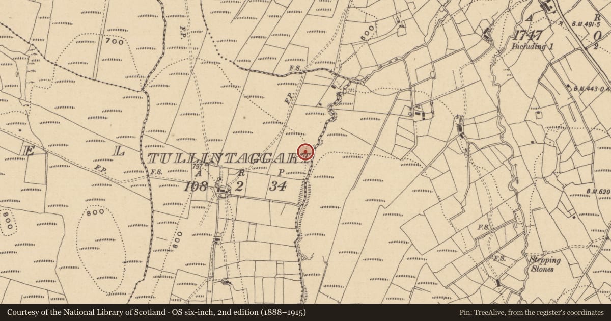 Ordnance Survey six-inch map, 2nd edition (1888–1915) covering the location of Mass-rock, Tullintaggart, County Leitrim, with a pin at the register's coordinates