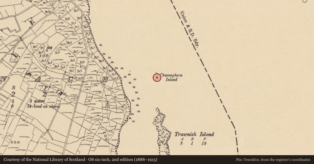 Ordnance Survey six-inch map, 2nd edition (1888–1915) covering the location of Crannog, Creevaghern Island, County Leitrim, with a pin at the register's coordinates
