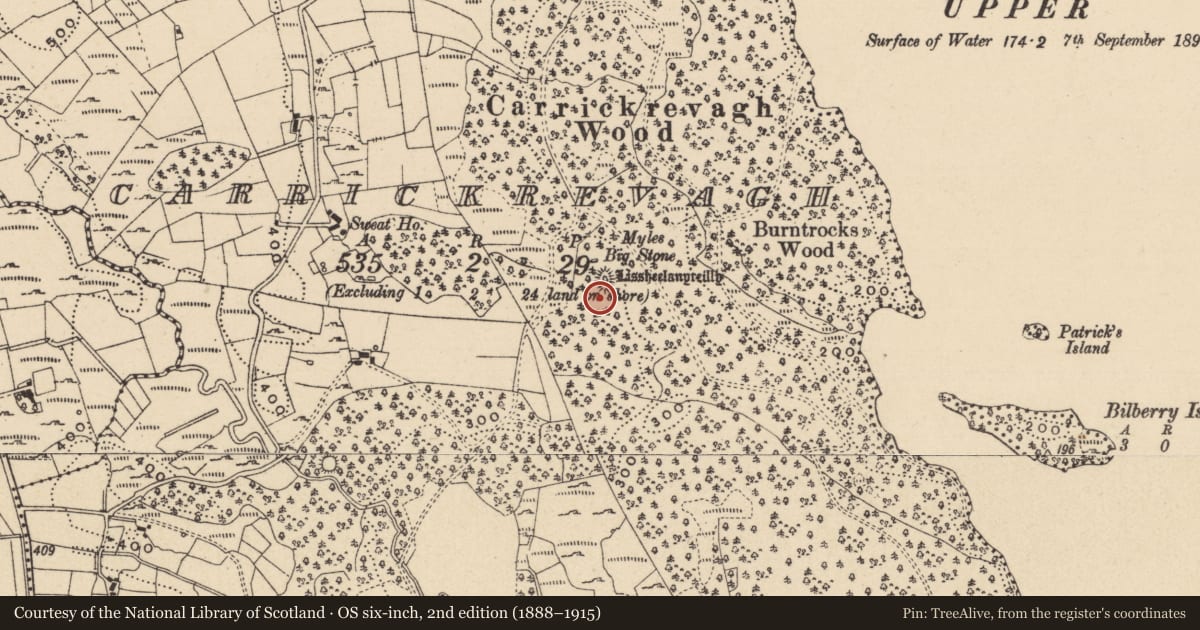 Ordnance Survey six-inch map, 2nd edition (1888–1915) covering the location of Burial ground, Carrickrevagh, County Leitrim, with a pin at the register's coordinates