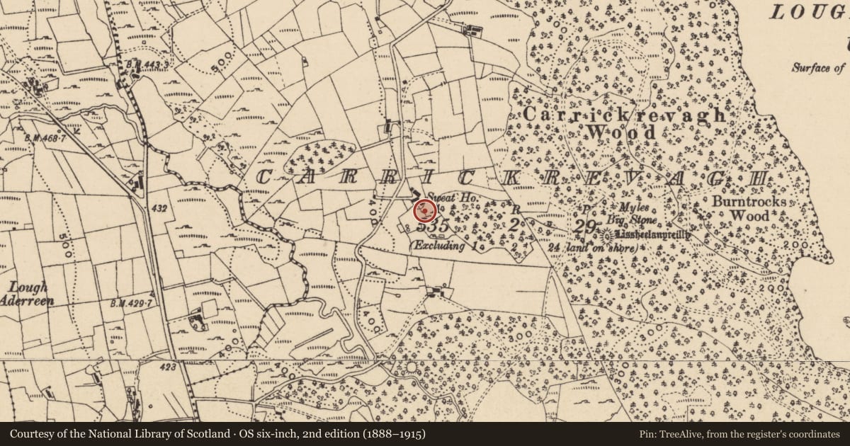 Ordnance Survey six-inch map, 2nd edition (1888–1915) covering the location of Sweathouse, Carrickrevagh, County Leitrim, with a pin at the register's coordinates