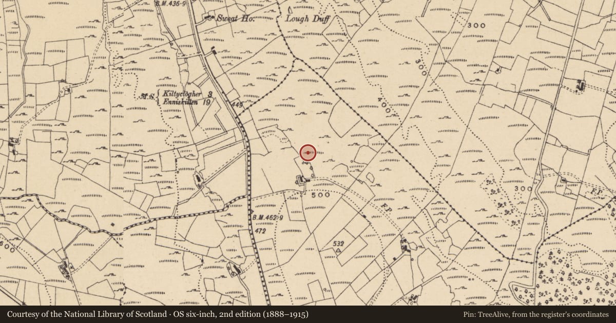 Ordnance Survey six-inch map, 2nd edition (1888–1915) covering the location of Bullaun stone, Carrickrevagh, County Leitrim, with a pin at the register's coordinates