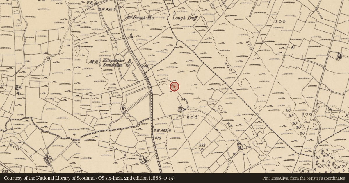 Ordnance Survey six-inch map, 2nd edition (1888–1915) covering the location of Bullaun stone, Carrickrevagh, County Leitrim, with a pin at the register's coordinates