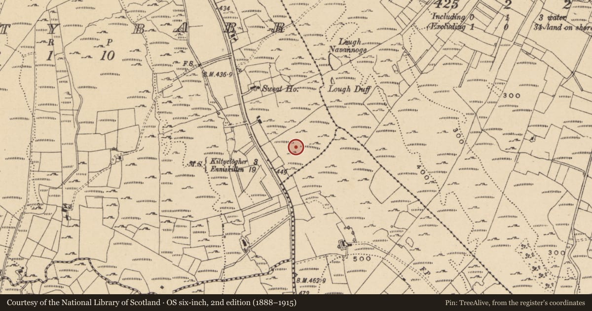 Ordnance Survey six-inch map, 2nd edition (1888–1915) covering the location of Bullaun stone, Laghty Barr, County Leitrim, with a pin at the register's coordinates