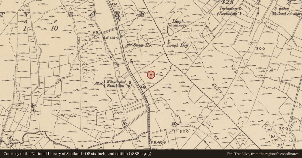 Ordnance Survey six-inch map, 2nd edition (1888–1915) covering the location of Anomalous stone group, Laghty Barr, County Leitrim, with a pin at the register's coordinates