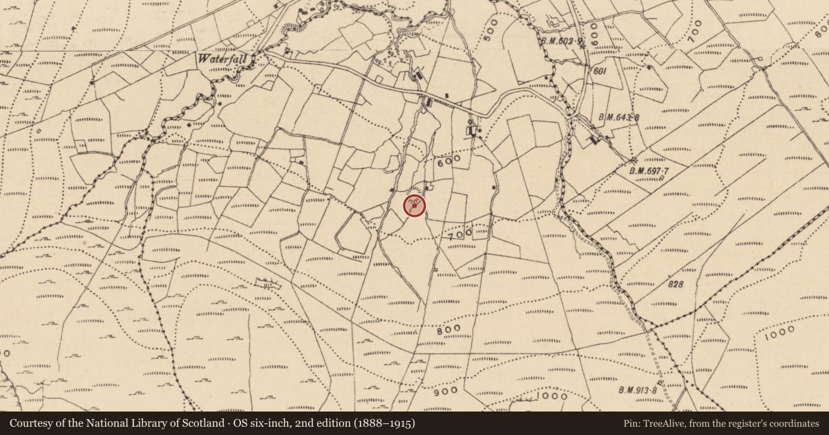 Ordnance Survey six-inch map, 2nd edition (1888–1915) covering the location of Ringfort - rath, Fawnlion, County Leitrim, with a pin at the register's coordinates