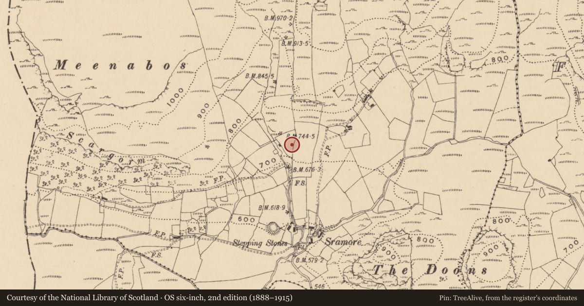 Ordnance Survey six-inch map, 2nd edition (1888–1915) covering the location of Megalithic structure, Sramore, County Leitrim, with a pin at the register's coordinates