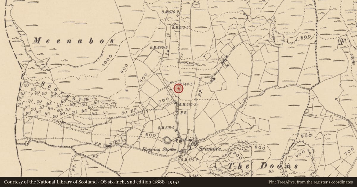 Ordnance Survey six-inch map, 2nd edition (1888–1915) covering the location of Hut site, Sramore, County Leitrim, with a pin at the register's coordinates