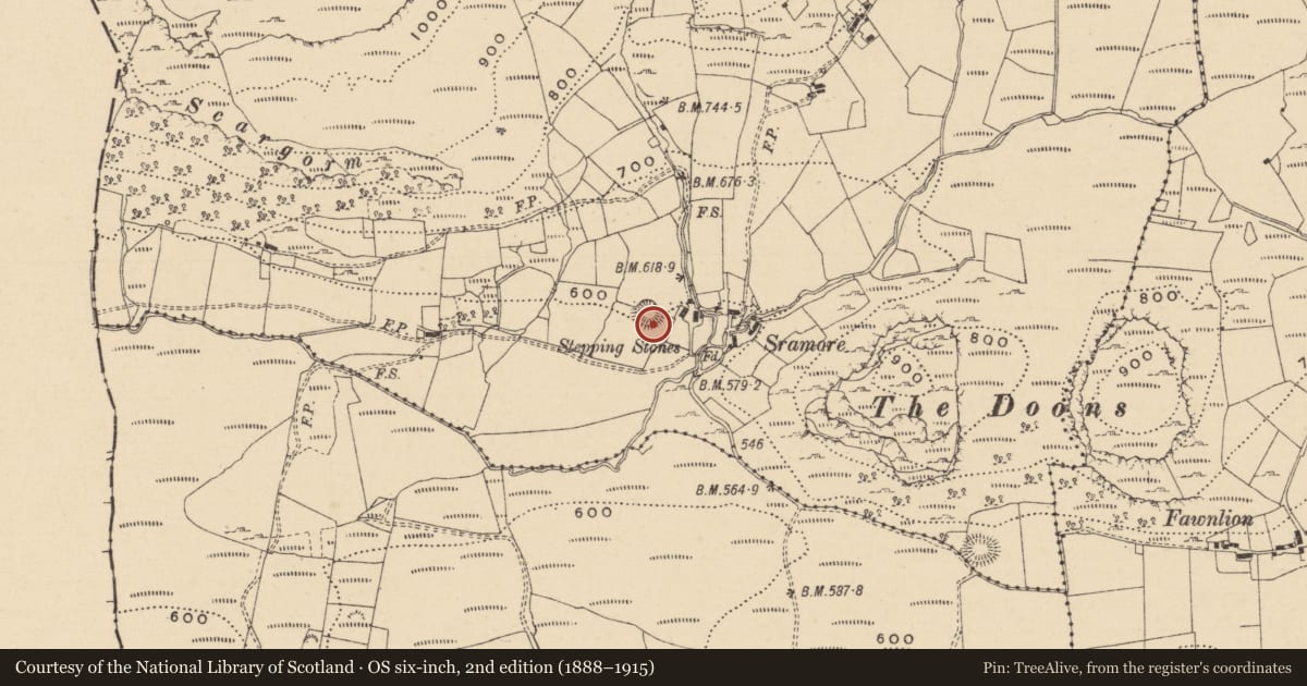 Ordnance Survey six-inch map, 2nd edition (1888–1915) covering the location of Ringfort - rath, Sramore, County Leitrim, with a pin at the register's coordinates
