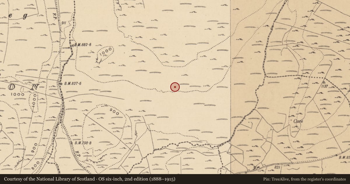 Ordnance Survey six-inch map, 2nd edition (1888–1915) covering the location of Megalithic tomb - court tomb, Leean, County Leitrim, with a pin at the register's coordinates