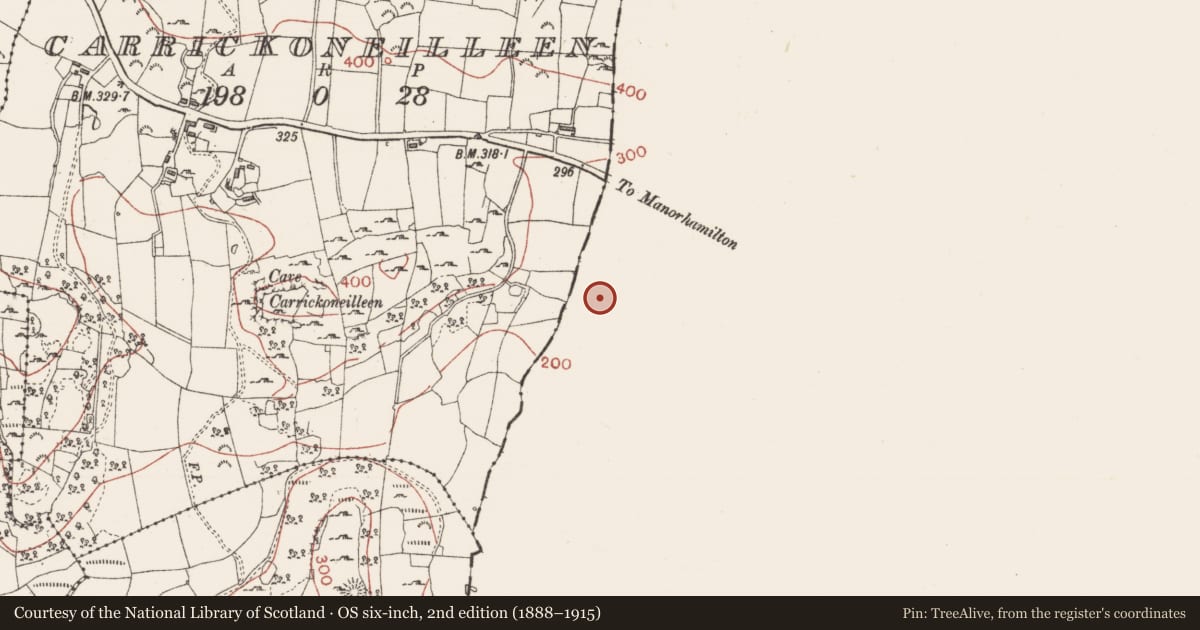 Ordnance Survey six-inch map, 2nd edition (1888–1915) covering the location of Ringfort - cashel, Carrickfad, County Leitrim, with a pin at the register's coordinates