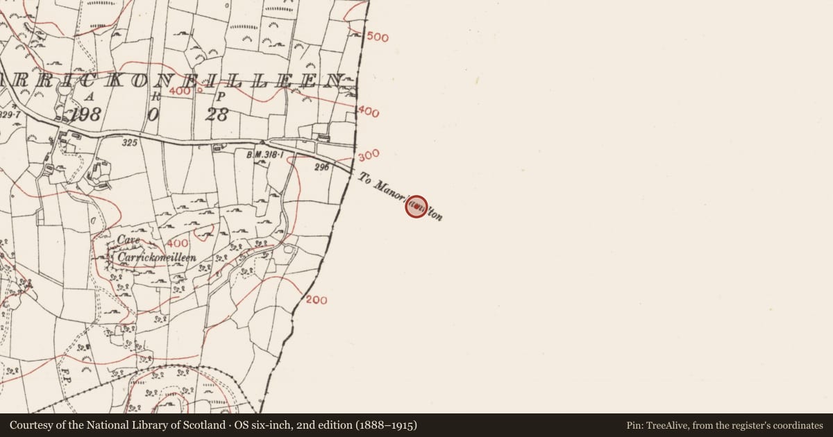 Ordnance Survey six-inch map, 2nd edition (1888–1915) covering the location of Ringfort - rath, Carrickfad, County Leitrim, with a pin at the register's coordinates