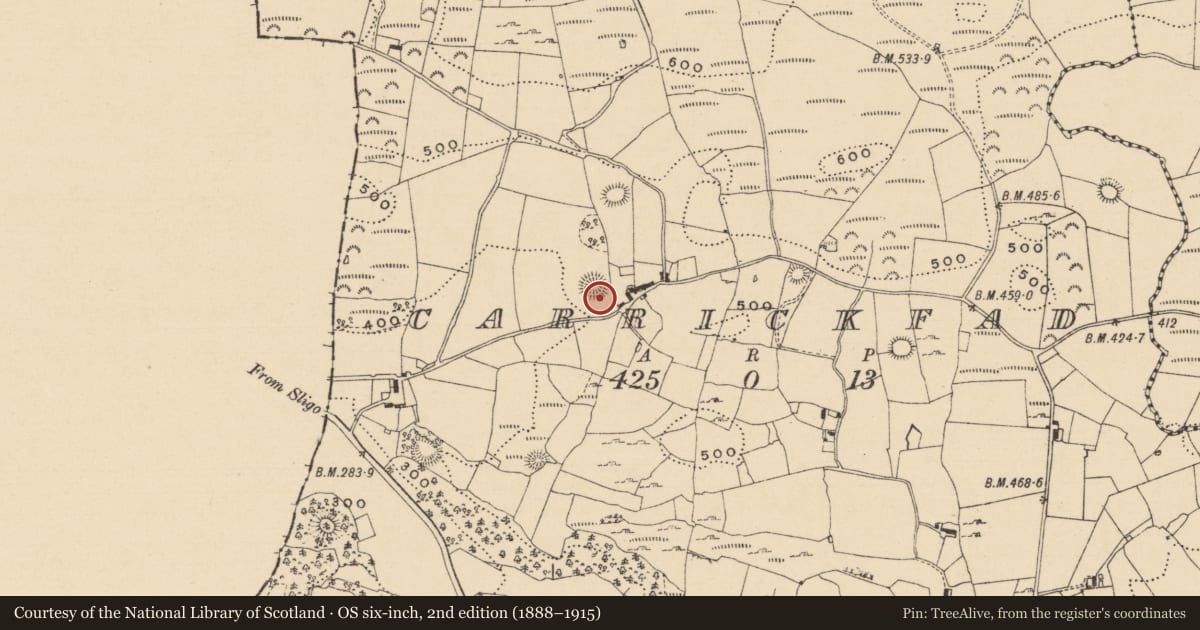 Ordnance Survey six-inch map, 2nd edition (1888–1915) covering the location of Ringfort - cashel, Carrickfad, County Leitrim, with a pin at the register's coordinates