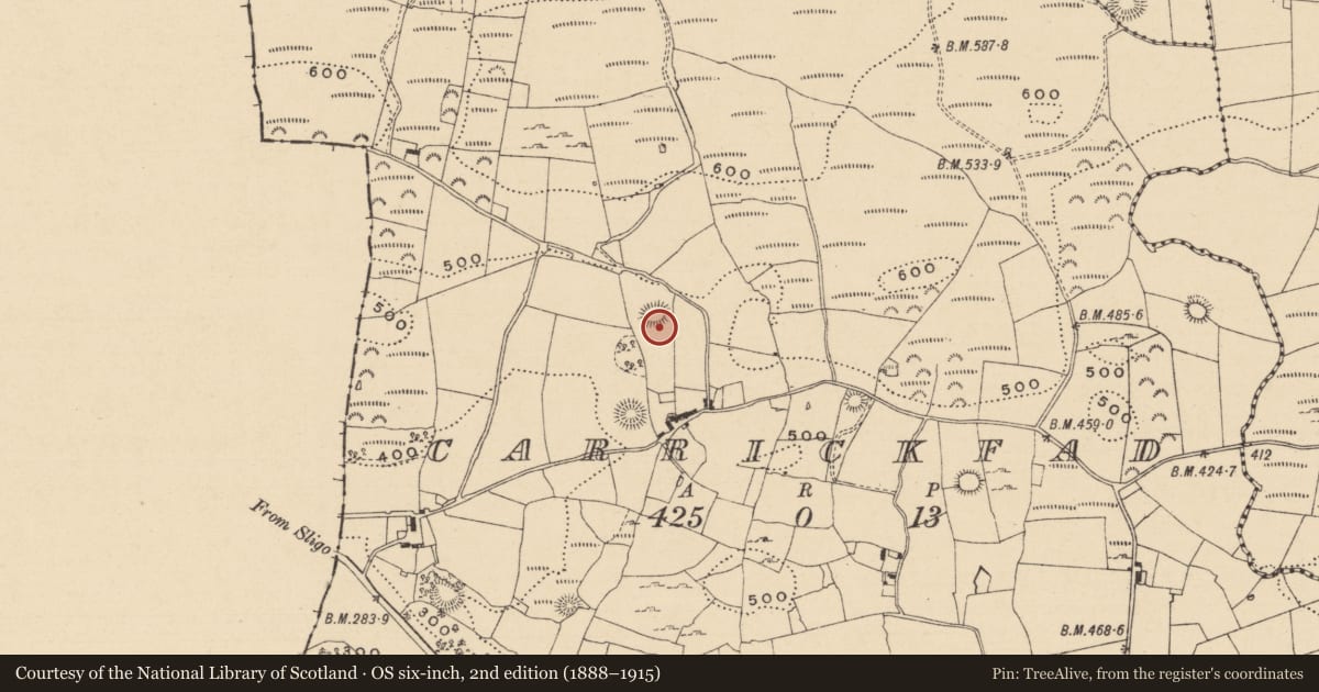 Ordnance Survey six-inch map, 2nd edition (1888–1915) covering the location of Ringfort - rath, Carrickfad, County Leitrim, with a pin at the register's coordinates
