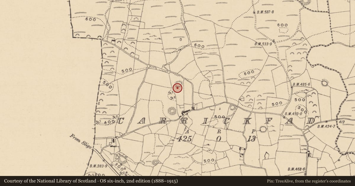 Ordnance Survey six-inch map, 2nd edition (1888–1915) covering the location of Souterrain, Carrickfad, County Leitrim, with a pin at the register's coordinates