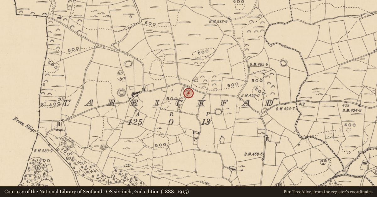 Ordnance Survey six-inch map, 2nd edition (1888–1915) covering the location of Ringfort - cashel, Carrickfad, County Leitrim, with a pin at the register's coordinates