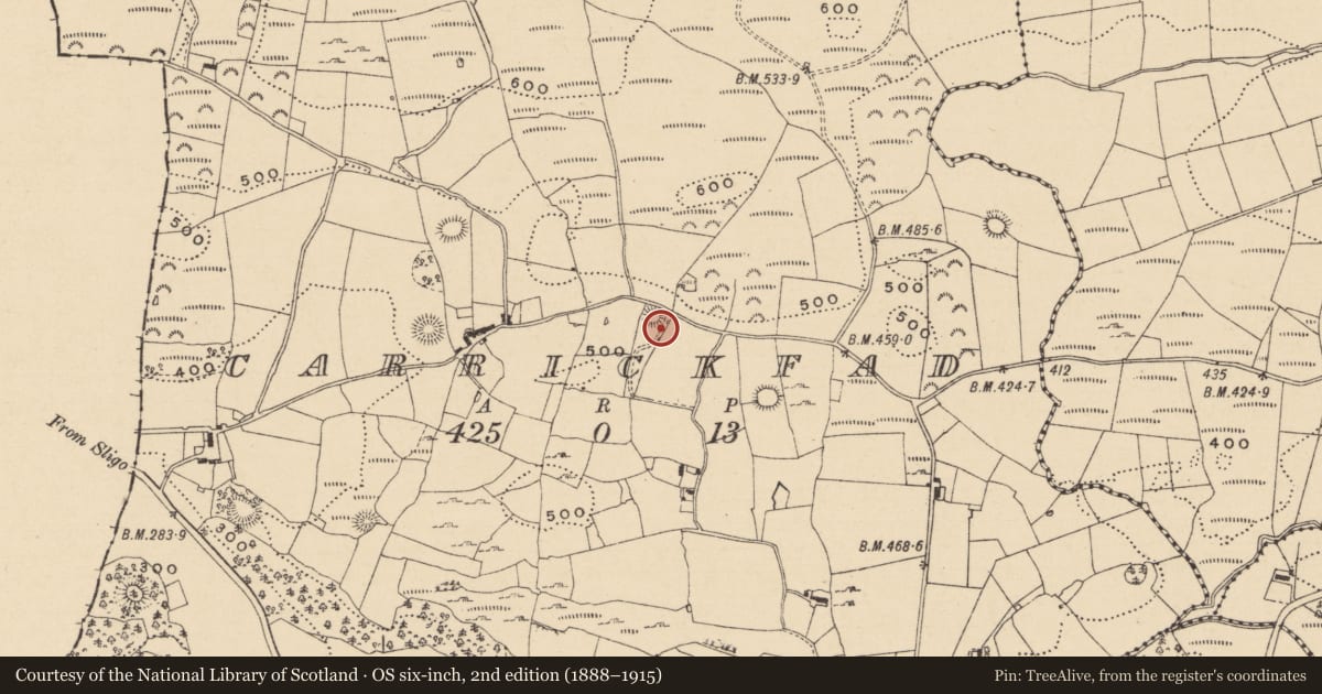 Ordnance Survey six-inch map, 2nd edition (1888–1915) covering the location of Souterrain, Carrickfad, County Leitrim, with a pin at the register's coordinates