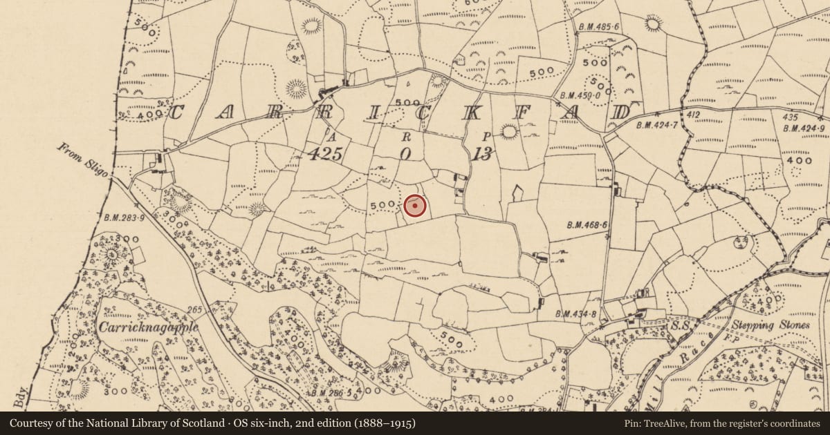 Ordnance Survey six-inch map, 2nd edition (1888–1915) covering the location of Ringfort - cashel, Carrickfad, County Leitrim, with a pin at the register's coordinates