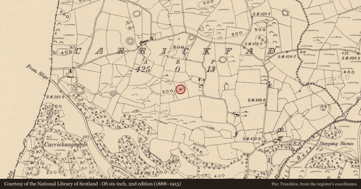 Ordnance Survey six-inch map, 2nd edition (1888–1915) covering the location of Souterrain, Carrickfad, County Leitrim, with a pin at the register's coordinates
