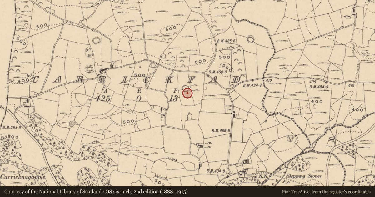 Ordnance Survey six-inch map, 2nd edition (1888–1915) covering the location of Ringfort - cashel, Carrickfad, County Leitrim, with a pin at the register's coordinates