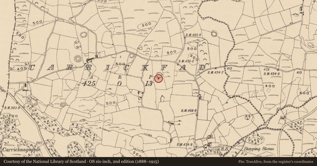 Ordnance Survey six-inch map, 2nd edition (1888–1915) covering the location of Hut site, Carrickfad, County Leitrim, with a pin at the register's coordinates