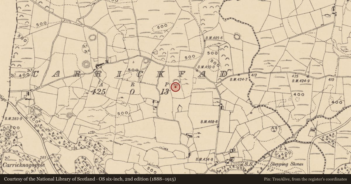 Ordnance Survey six-inch map, 2nd edition (1888–1915) covering the location of Souterrain, Carrickfad, County Leitrim, with a pin at the register's coordinates