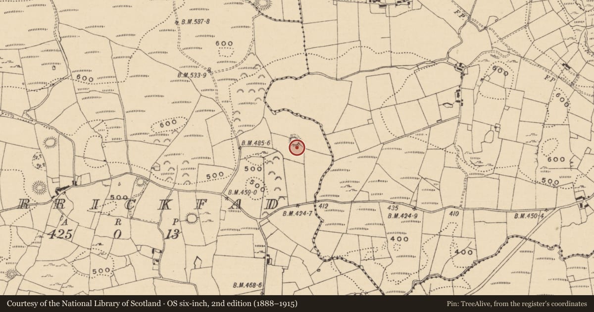 Ordnance Survey six-inch map, 2nd edition (1888–1915) covering the location of Ringfort - cashel, Carrickfad, County Leitrim, with a pin at the register's coordinates