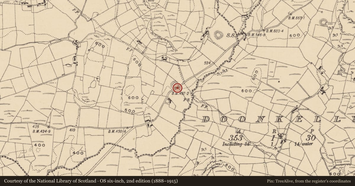 Ordnance Survey six-inch map, 2nd edition (1888–1915) covering the location of Ringfort - rath, Fawnlion, County Leitrim, with a pin at the register's coordinates