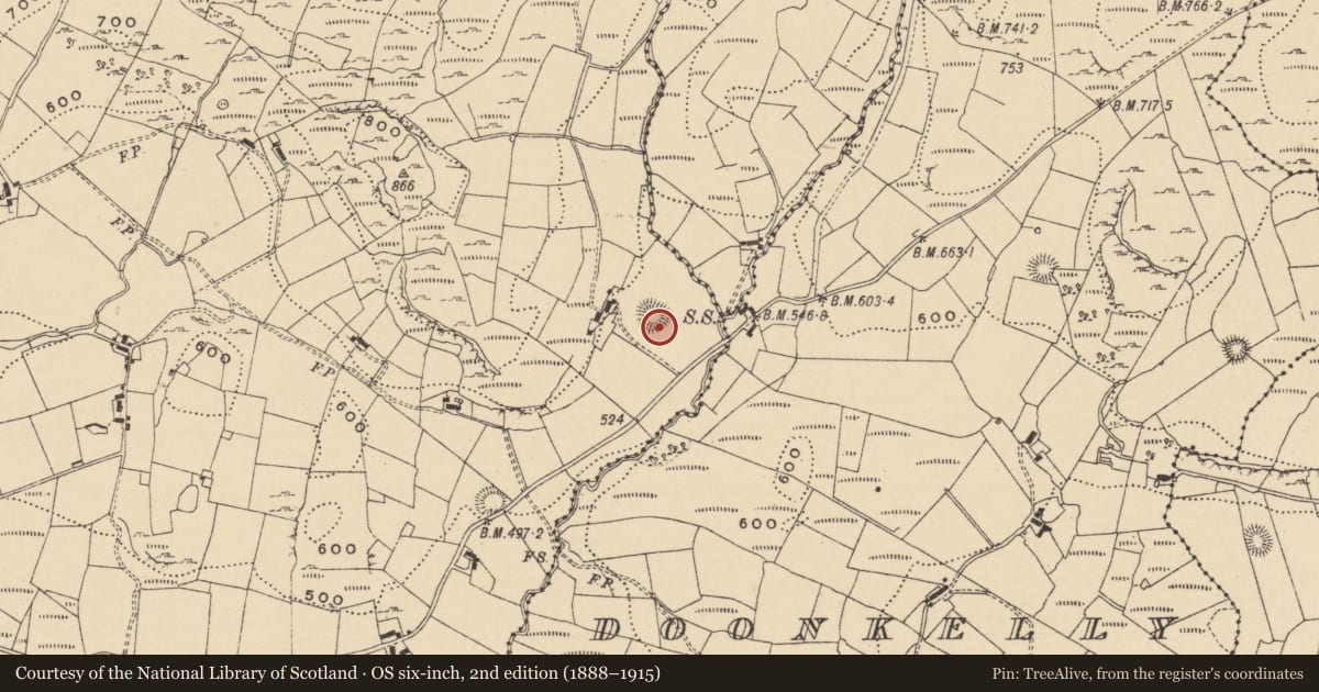 Ordnance Survey six-inch map, 2nd edition (1888–1915) covering the location of Ringfort - rath, Fawnlion, County Leitrim, with a pin at the register's coordinates