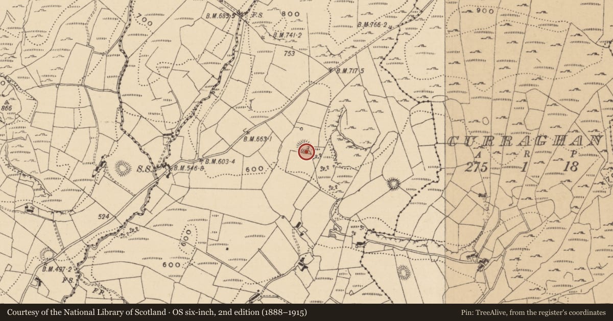 Ordnance Survey six-inch map, 2nd edition (1888–1915) covering the location of Ringfort - rath, Doonkelly, County Leitrim, with a pin at the register's coordinates
