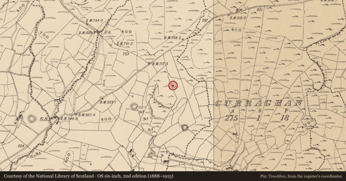 Ordnance Survey six-inch map, 2nd edition (1888–1915) covering the location of Ringfort - cashel, Doonkelly, County Leitrim, with a pin at the register's coordinates