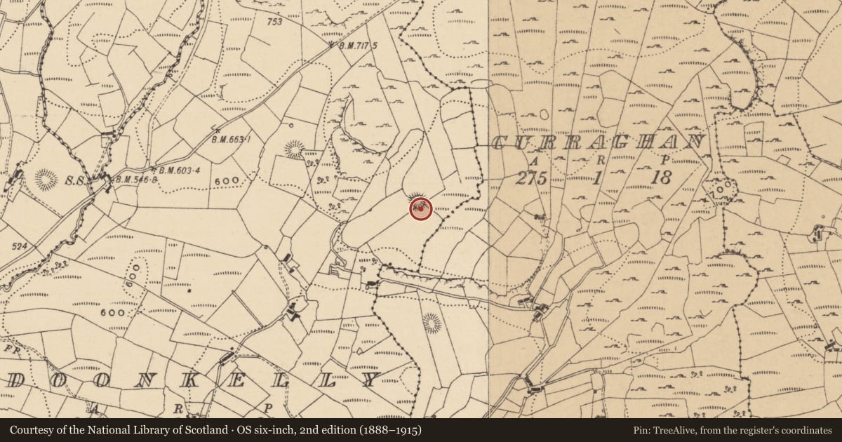 Ordnance Survey six-inch map, 2nd edition (1888–1915) covering the location of Ringfort - cashel, Doonkelly, County Leitrim, with a pin at the register's coordinates