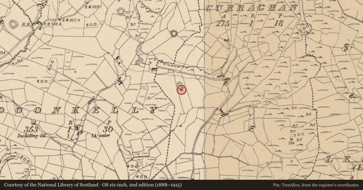 Ordnance Survey six-inch map, 2nd edition (1888–1915) covering the location of Ringfort - cashel, Curraghan, County Leitrim, with a pin at the register's coordinates