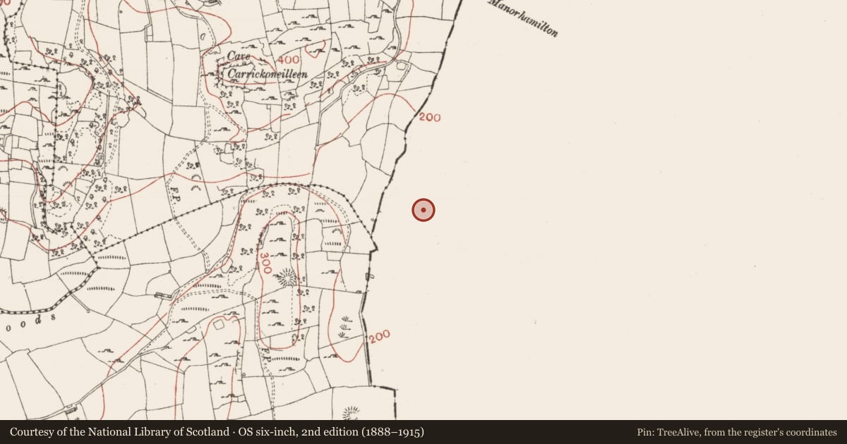 Ordnance Survey six-inch map, 2nd edition (1888–1915) covering the location of Ringfort - rath, Carrickfad, County Leitrim, with a pin at the register's coordinates