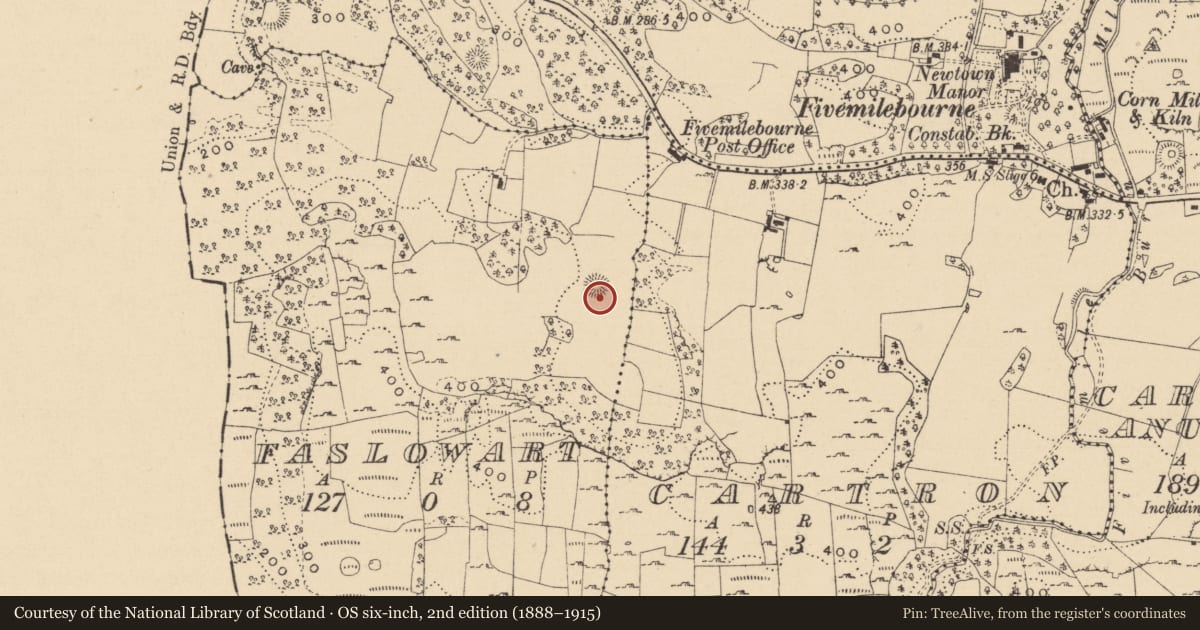 Ordnance Survey six-inch map, 2nd edition (1888–1915) covering the location of Ringfort - cashel, Faslowart, County Leitrim, with a pin at the register's coordinates