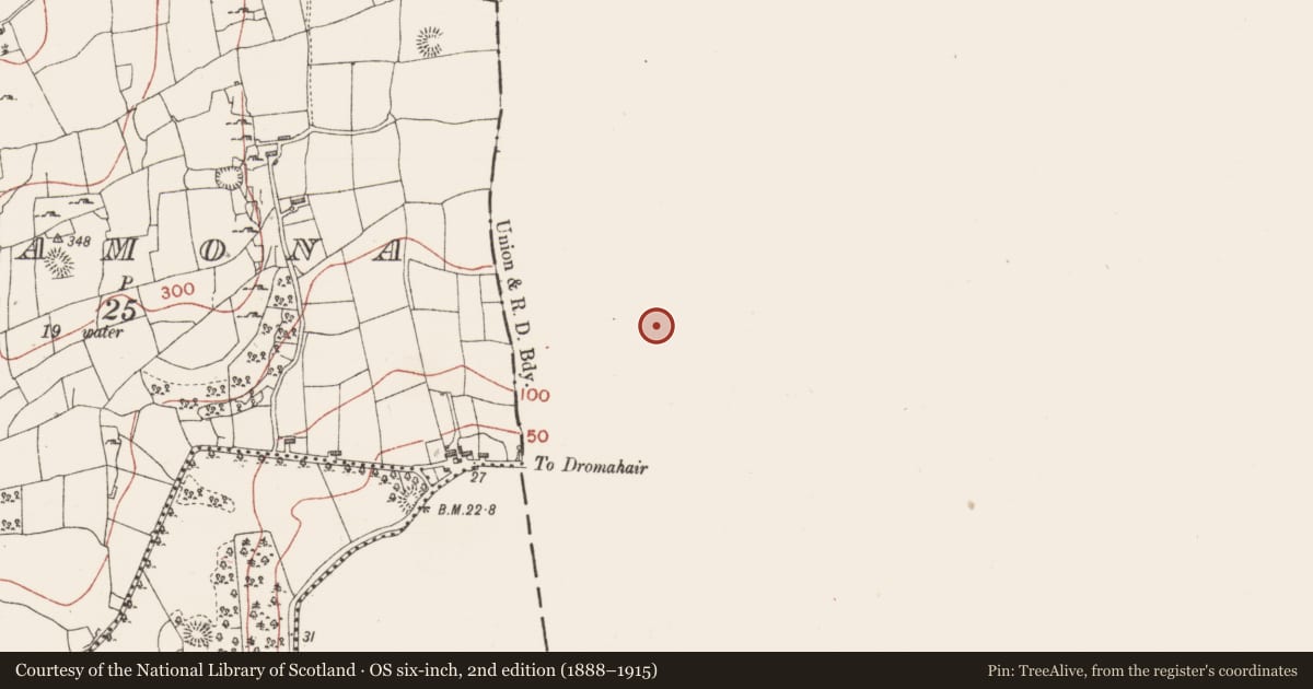 Ordnance Survey six-inch map, 2nd edition (1888–1915) covering the location of Enclosure, Faslowart, County Leitrim, with a pin at the register's coordinates