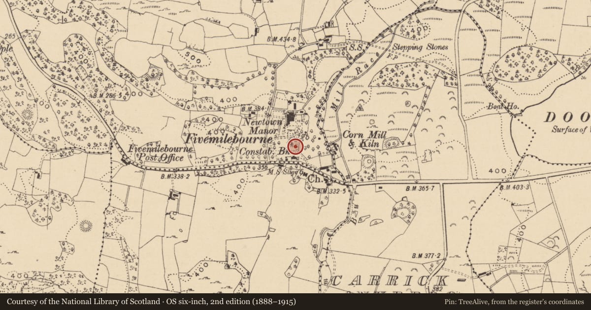 Ordnance Survey six-inch map, 2nd edition (1888–1915) covering the location of Ringfort - unclassified, Carrickfad, County Leitrim, with a pin at the register's coordinates