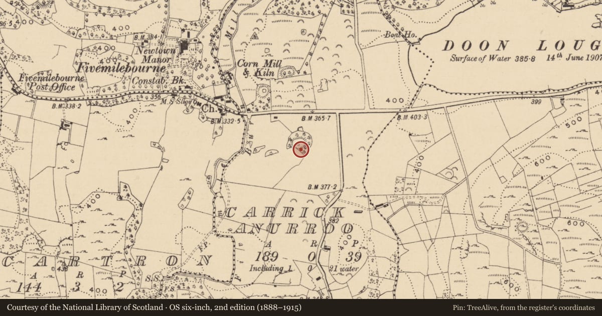 Ordnance Survey six-inch map, 2nd edition (1888–1915) covering the location of Ringfort - rath, Carrickanurroo, County Leitrim, with a pin at the register's coordinates