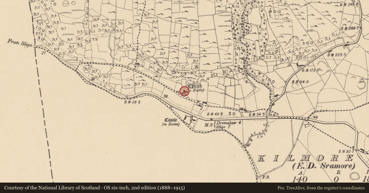 Ordnance Survey six-inch map, 2nd edition (1888–1915) covering the location of Graveslab, Cartron, County Leitrim, with a pin at the register's coordinates