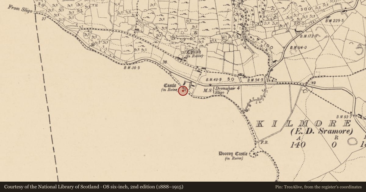 Ordnance Survey six-inch map, 2nd edition (1888–1915) covering the location of Sweathouse, Kilmore, County Leitrim, with a pin at the register's coordinates