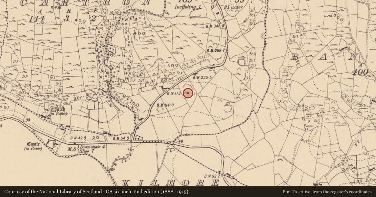 Ordnance Survey six-inch map, 2nd edition (1888–1915) covering the location of Ringfort - cashel, Carrickanurroo, County Leitrim, with a pin at the register's coordinates