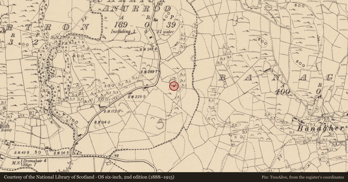 Ordnance Survey six-inch map, 2nd edition (1888–1915) covering the location of Ringfort - cashel, Carrickanurroo, County Leitrim, with a pin at the register's coordinates